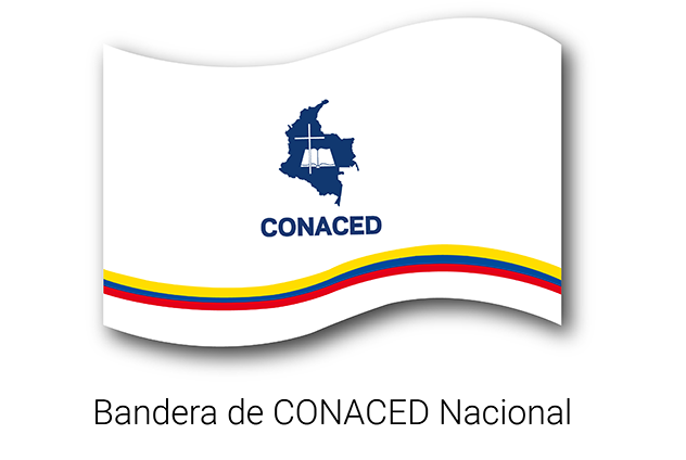 bandera1